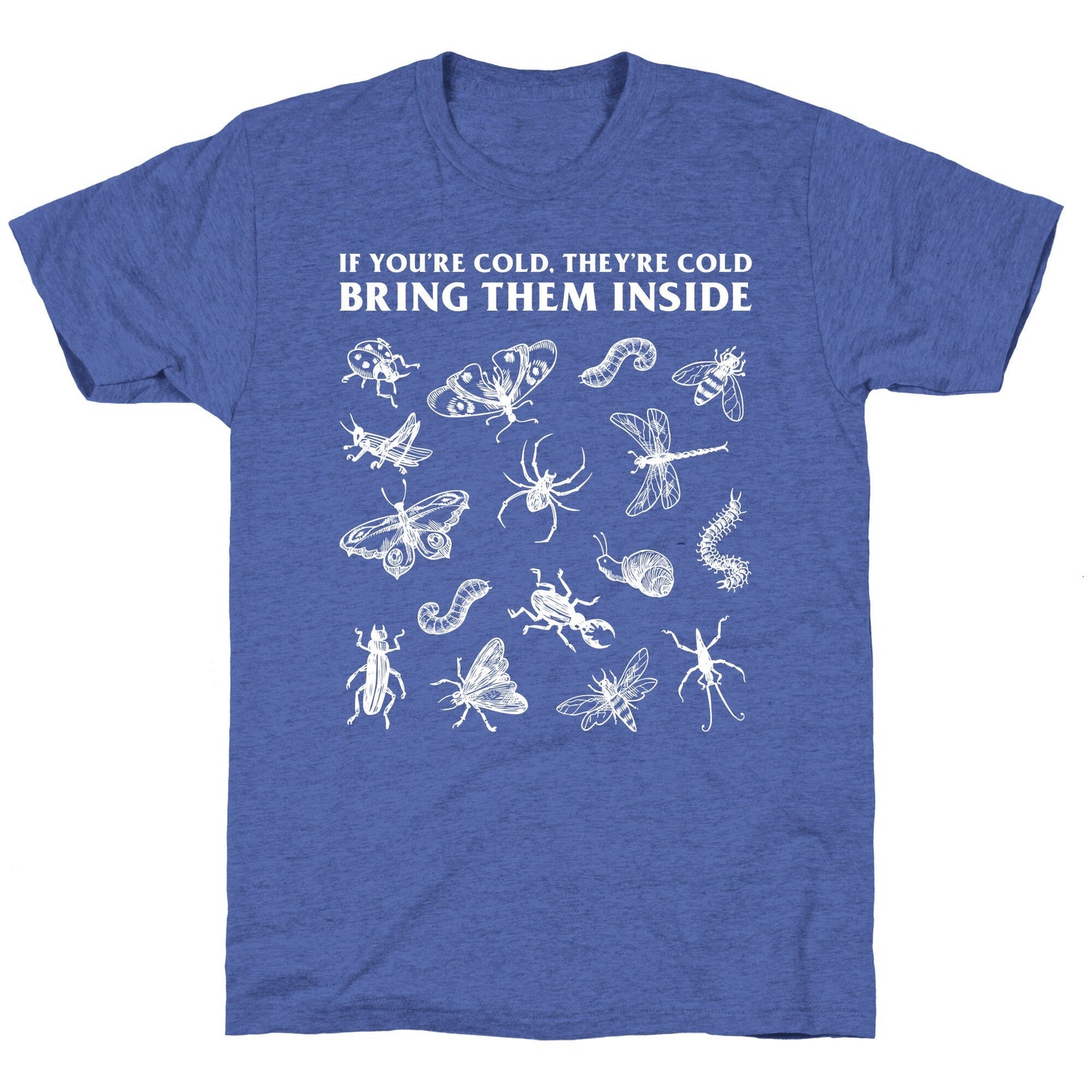 Bring Them Bugs Inside Unisex Triblend Tee
