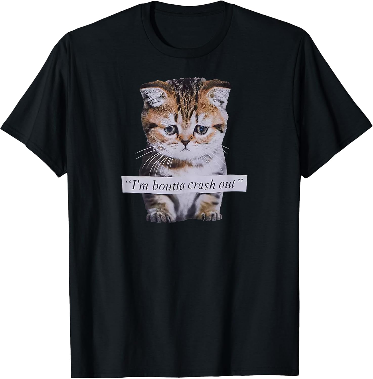 I'm Boutta Crash Out Funny Sarcasm Quotes Meme Cat Humorous T-Shirt