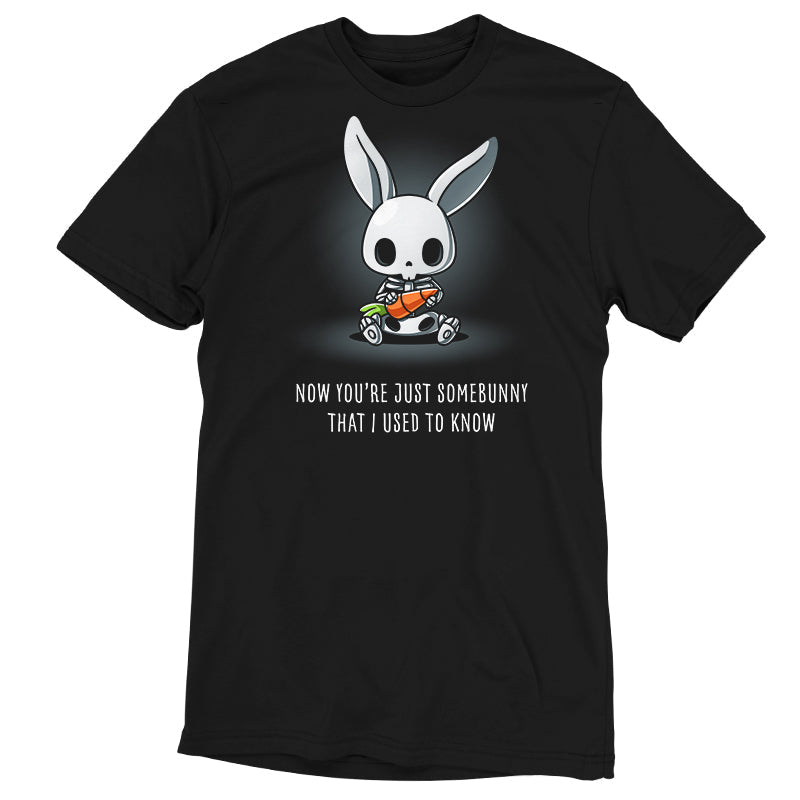 Somebunny That I Used to Know