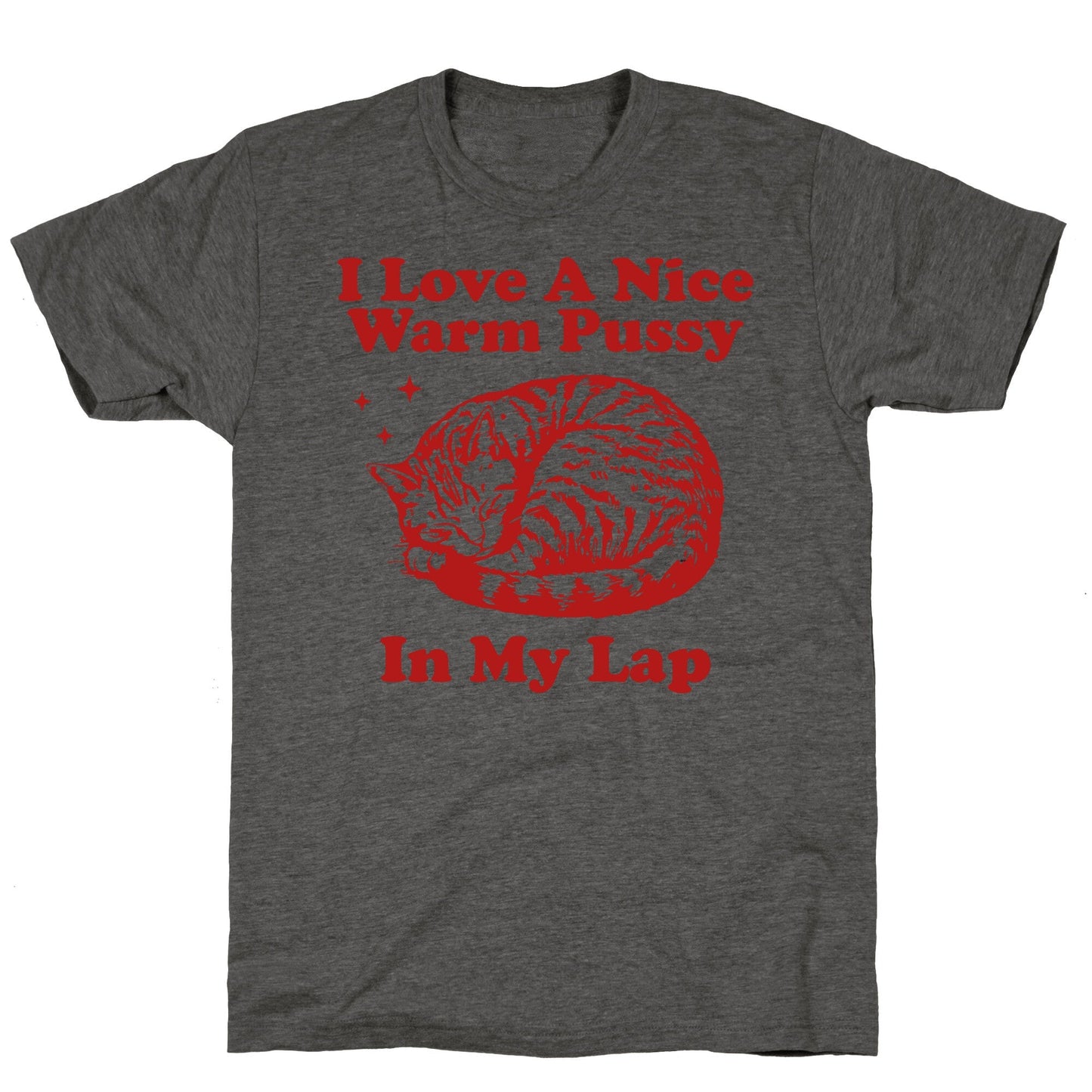 I Love A Nice Warm Pussy In My Lap Unisex Triblend Tee