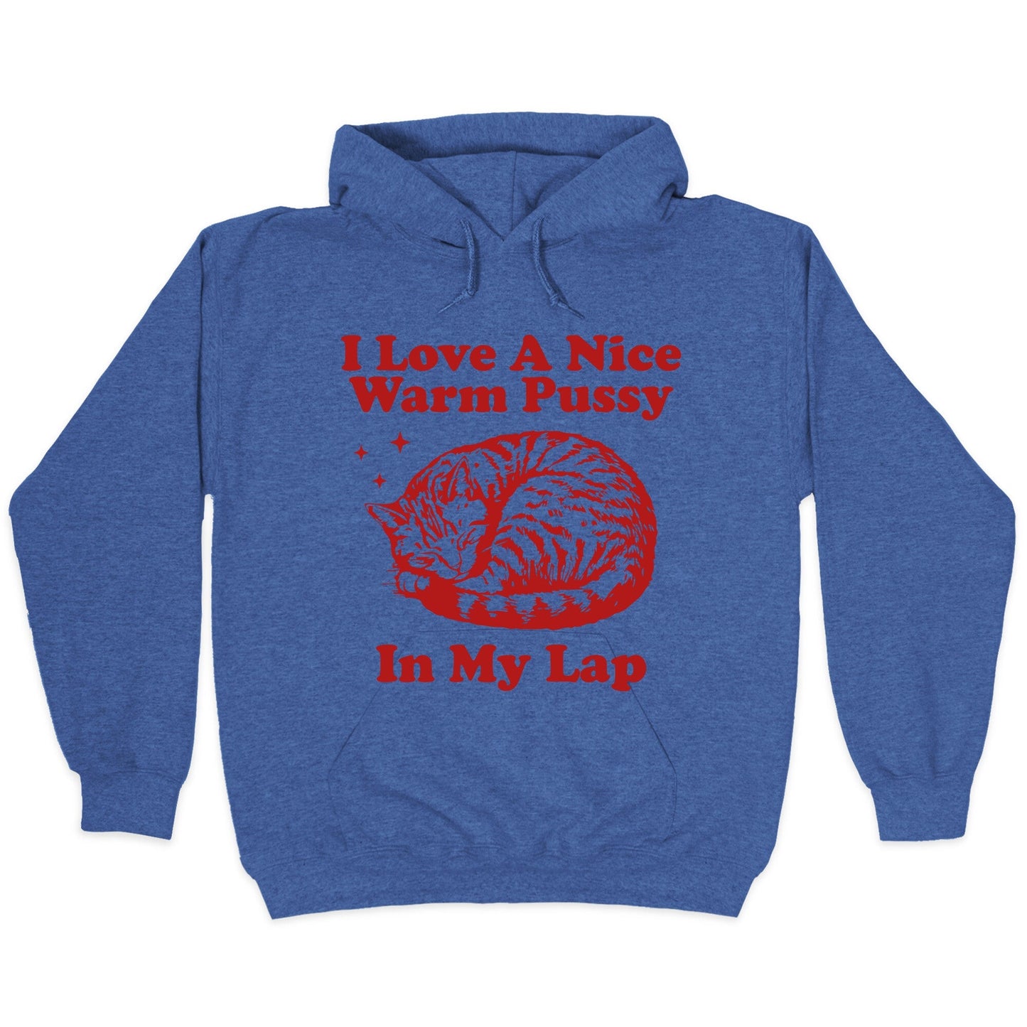 I Love A Nice Warm Pussy In My Lap Hoodie