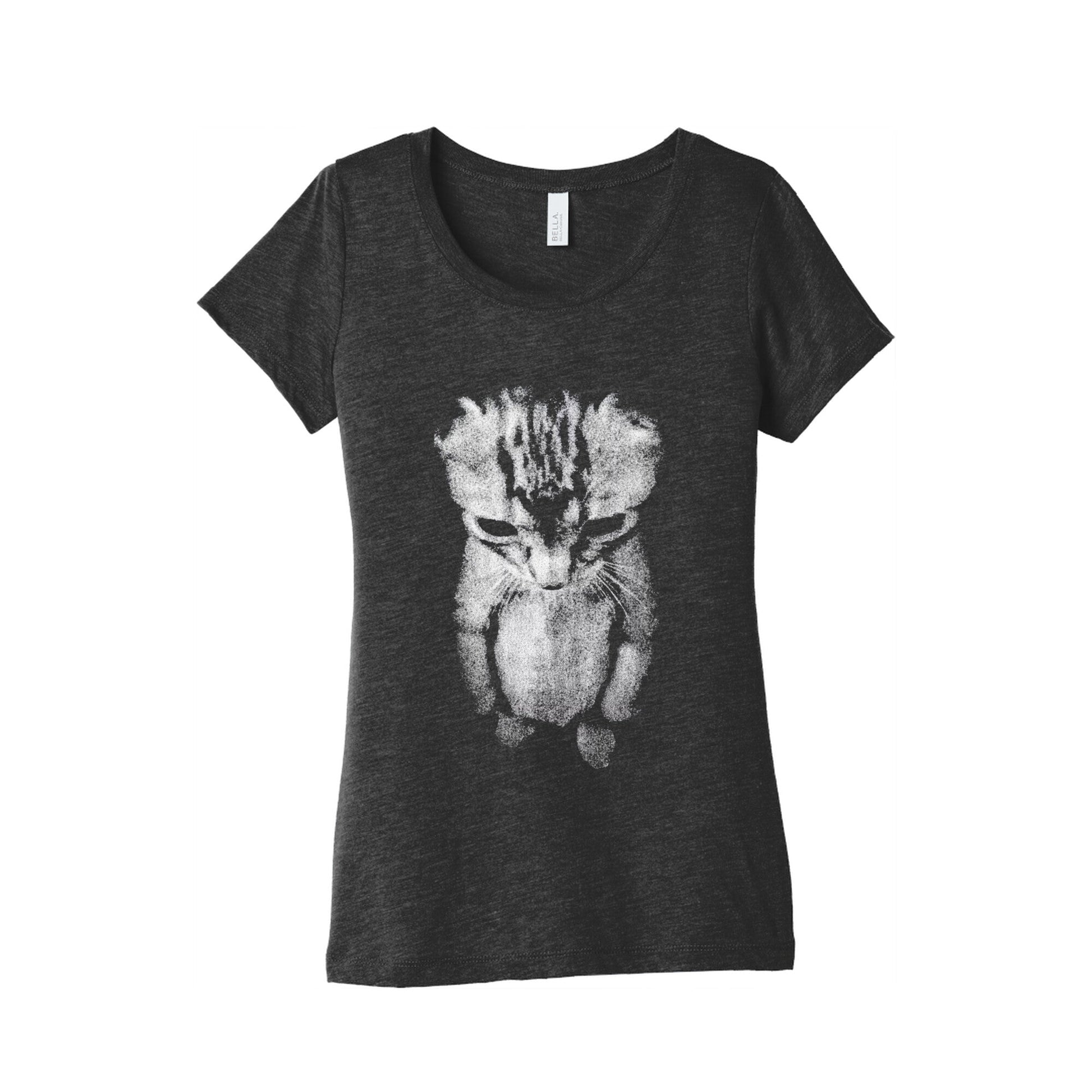 Sad Little Cat Womens Triblend Tee