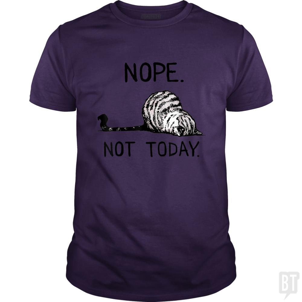 Nope Not Today Cat